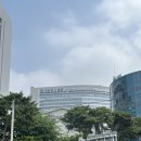 디오메디컬 | 캐세이퍼시픽 메디컬 한 번에 통과한 후기