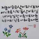 수채캘리그라피와 함께하는 감사의 재발견 | 수업후기)) 도민대학동네캠퍼스 : 숲해설사와 함께하는 ‘나를 기록하는 힐링테라피’ 월: 9:30~12:30...