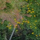 해든뷰 호스텔 이미지