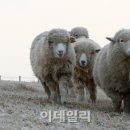 상서목장 이미지