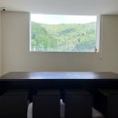 📸 세종 ‘가배서림’ 방문 후기 ☕️🌳🖼️