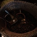 정든다방 이미지