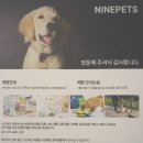 나인페츠 | [강아지 관절간식/강아지 한방간식] 나인페츠 한방쿠키