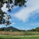 뭉개구름 이미지