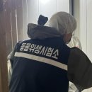 합동농장 이미지