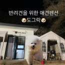 도그락 이미지