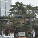 영희샵 | 38] 혼주한복 피팅 후기 🇰🇷 👗 / 브라이드K_라시따 / 라시따시어터 연계 / 홀연계샵 / 솔직후기 / 내돈내산