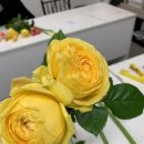 한림테크노빌딩 이미지