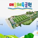 매송체육공원 게이트볼장 이미지
