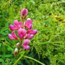 하하세탁소 이미지