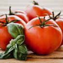 토마토 이미지