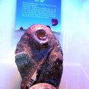 화진포해양박물관 이미지