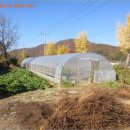 서면 신매1리 경로당 이미지