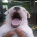 (주)펜타스튜디오 | <시인을 위하여 in ZIP : 모종의 크리스마스> 공연 후기(벨로주 홍대)