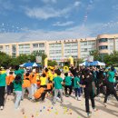 김해활천초등학교 Daum카페