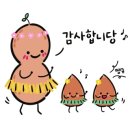 철인유통 이미지
