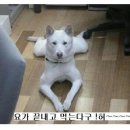 ㅋㅋ