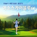 챤스당구장 | 아소스카이블루cc 천연온천욕도 할수 있는 곳! 후기 입니다.
