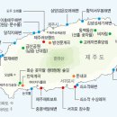 제주 무태장어 서식지 이미지
