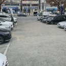 야성식당 이미지