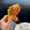 풀잎치과의원 이미지