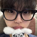 굿독(Good Dog) 이미지