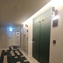 뉴 블랑 센트럴 명동 | 서울 가성비 호텔 뉴블랑 센트럴 명동 두 번이나 재방문한 찐 만족 후기