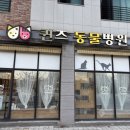 퀸즈동물병원