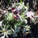 시암농장 이미지