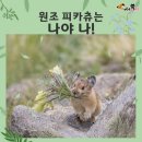 원조 - 남구 | 원조