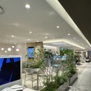 세라젬 롯데백화점 광주점 이미지