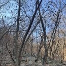 사패산 | [사패산] 근교 산행으로 부담없는 겨울 사패산 후기