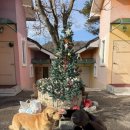 가람스테이2 이미지