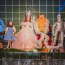 정원비디오 이미지