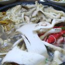 장수버섯마을 이미지