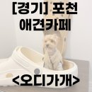 오디가개 | [경기]포토존이 너무 예쁜 포천 애견카페 , 오디가개 방문후기