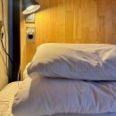 위드소울 | [울릉도3] 알쓰지만 술은 마셔요 (소울투어, 위드유호텔 패밀리도미토리, 오징어회타운, 회정식 후기)