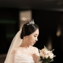 웨딩프로포즈 이미지