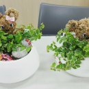 남도여자중학교 이미지