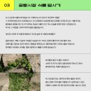 공항시장 이미지