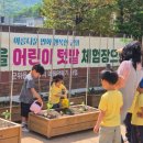 대율마을회관 네이버블로그