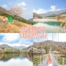 세량제 | 전남 화순 가볼만한곳 무등산 양떼목장 동구리호수공원 세량제 벚꽃 명소