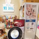 디어도그 이미지