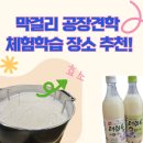 체험 학습 장소 공장 견학 추천 울산 막걸리 공장 후기