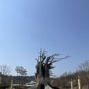 대구근교 아이와 봄나들이 삼국유사테마파크 내돈내산 후기