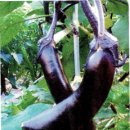 어머니손맛 이미지