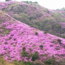 둔전2리 이미지