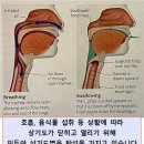 2024년 1월 30일 신문을 통해 알게 된 것들 이미지