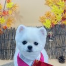 딱이네미용실 이미지