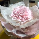 실버라인체조 이미지